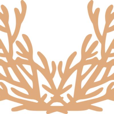 Sea Plants Thumbnail