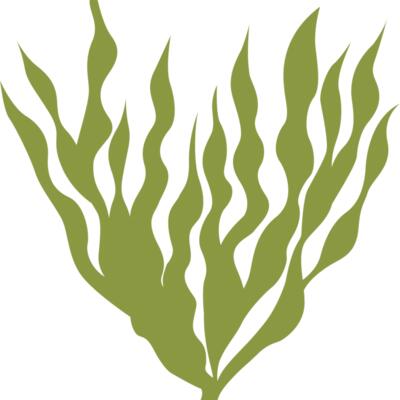 Sea Plants 5 Thumbnail