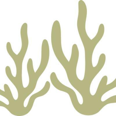 Sea Plants 2 Thumbnail