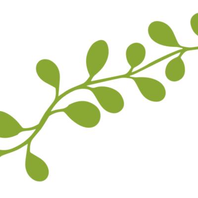 Leaves 13 Thumbnail