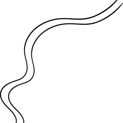 Abstract Curved Line Thumbnail