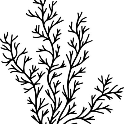Herb Sprig Thumbnail