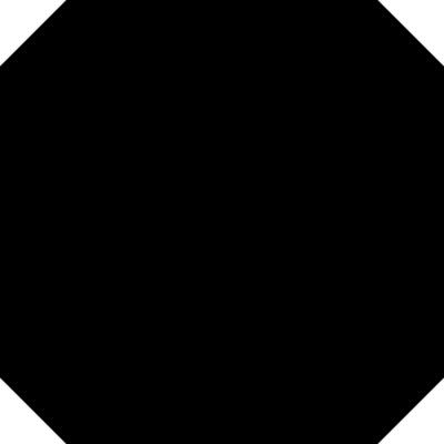 Octagon Frame Thumbnail